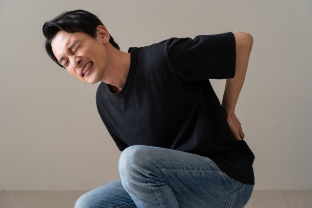 腰痛の原因は骨盤にあり？川崎の整骨院で徹底ケア 画像